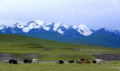 2019最值得到访旅游目的地 新疆登国内推荐榜首